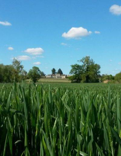 Photo Paysage Commune de Virelade