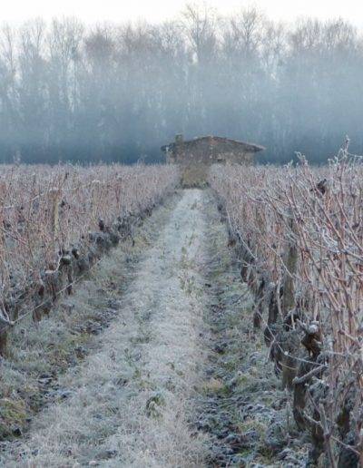 Photo Maison des vignes en hiver, Virelade, Gironde, Nouvelle Aquitaine