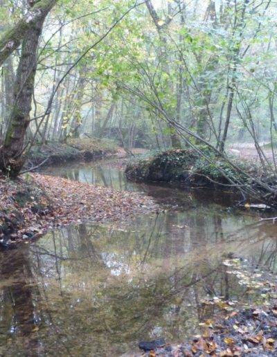 Photo de la Barbouse, Virelade, Gironde, Nouvelle Aquitaine