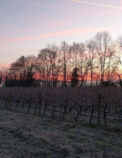 Photo de paysage, Virelade, Gironde, Nouvelle Aquitaine