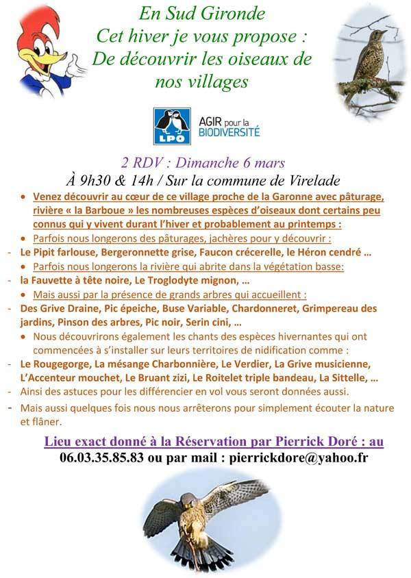Affiche 2 LPO Aquitaine - Découvrez les espèces d'oiseaux sur Virelade