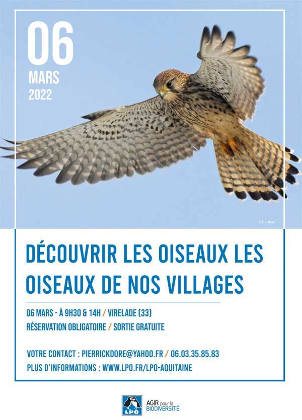 Affiche 1 LPO Aquitaine - Découvrez les espèces d'oiseaux sur Virelade