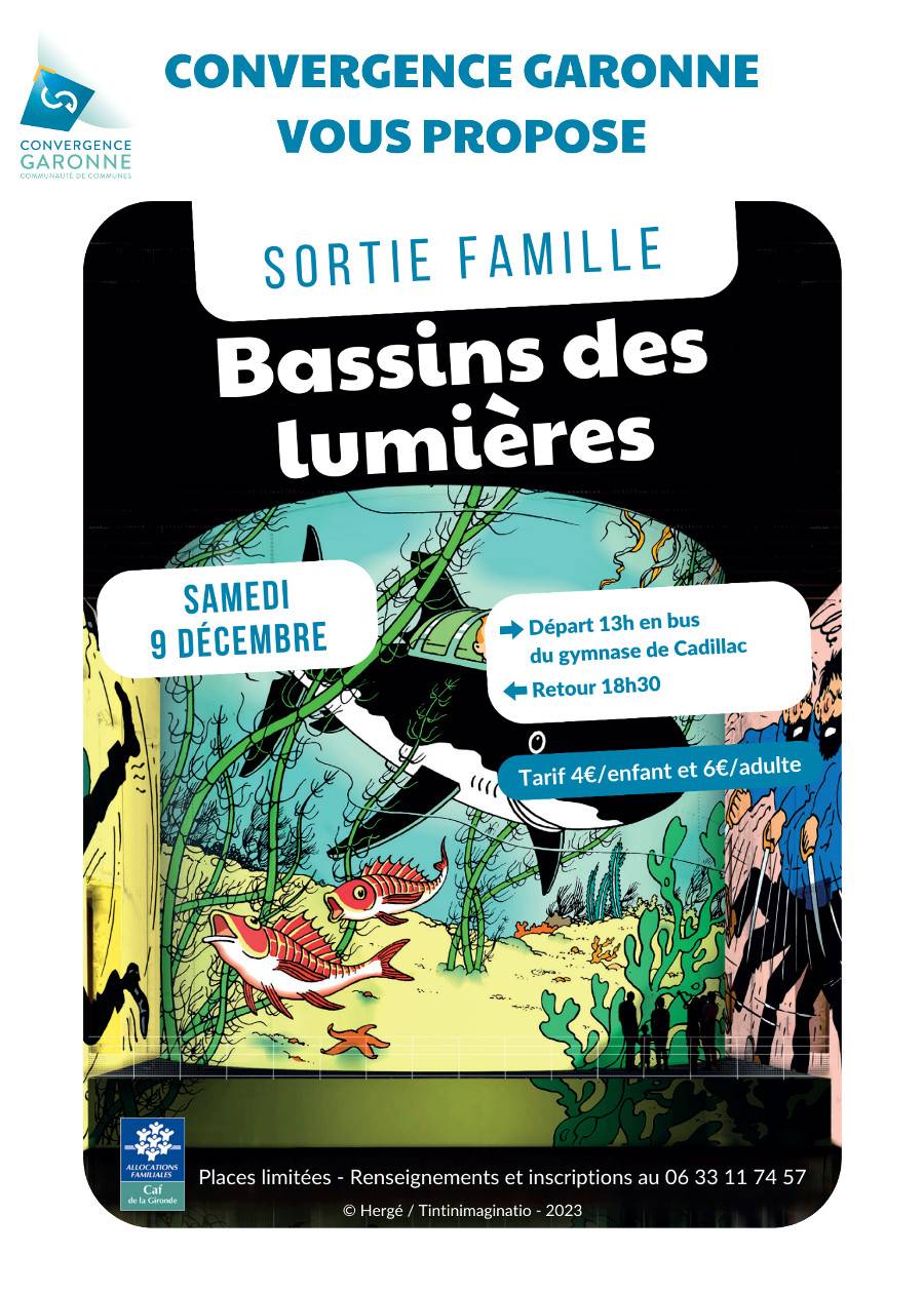 Affiche Sortie En famille aux bassins des lumières - Convergence Garonne