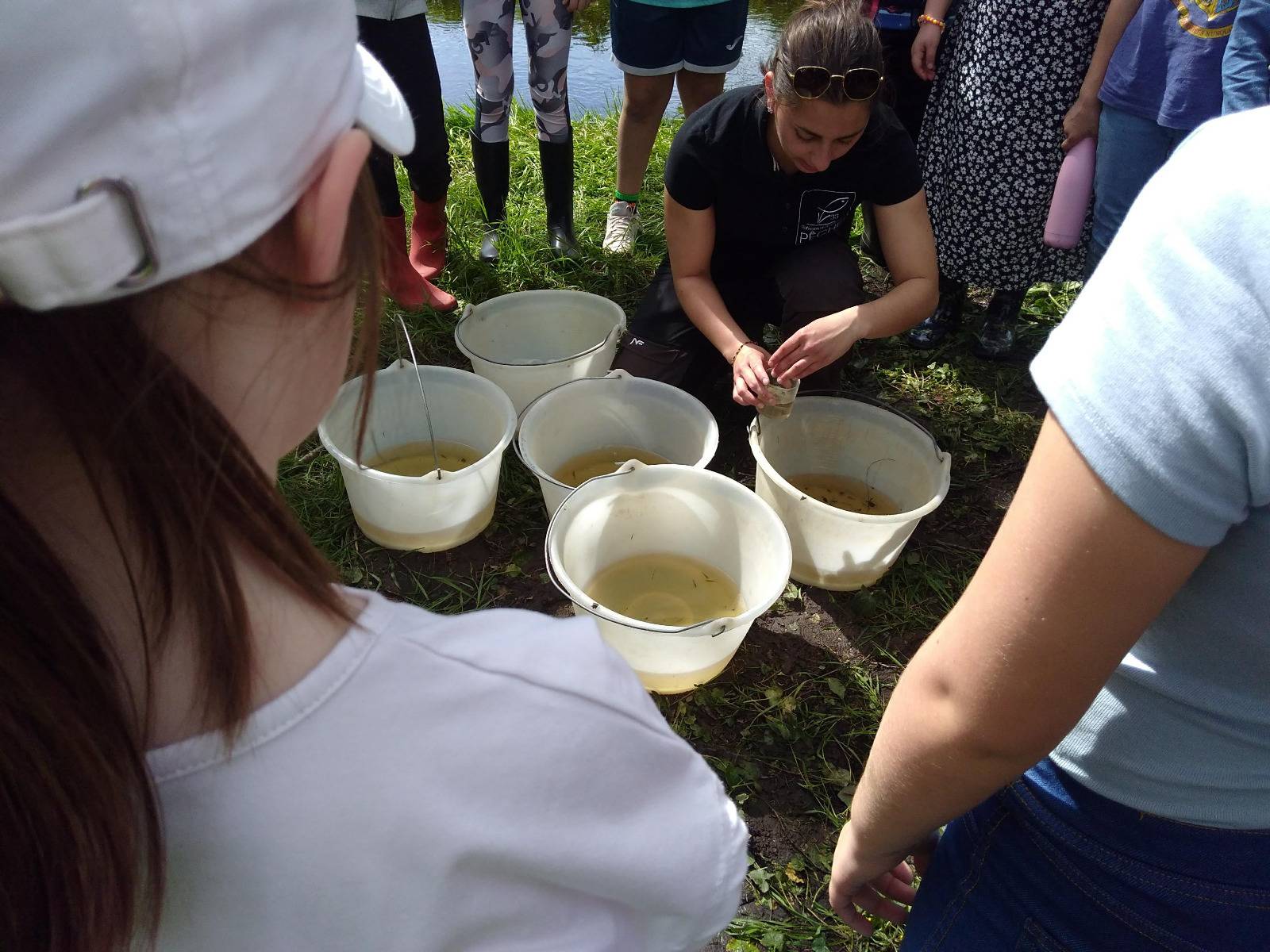 Photo 2 - Sortie Barbouse de l'école de Virelade