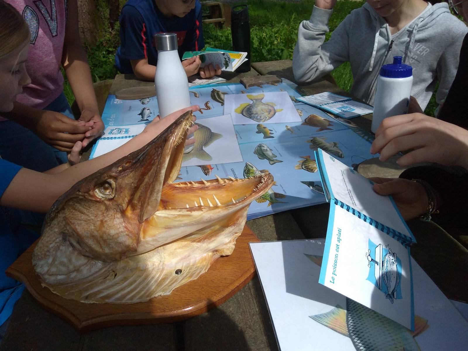 Photo 23 - Sortie Barbouse de l'école de Virelade