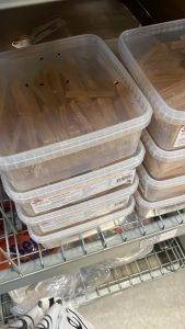 Illustration 2 Entreprise exo nuisibles à Virelade