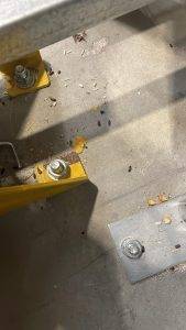 Illustration 1 Entreprise exo nuisibles à Virelade